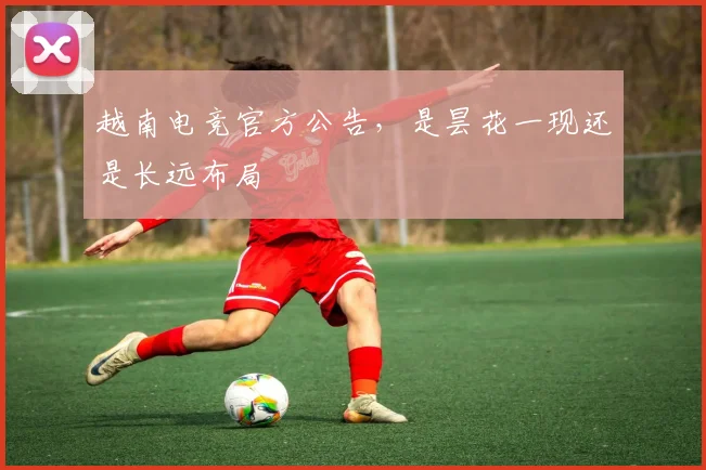 越南电竞官方公告,是昙花一现还是长远布局