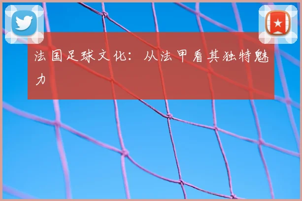 法国足球文化:从法甲看其独特魅力