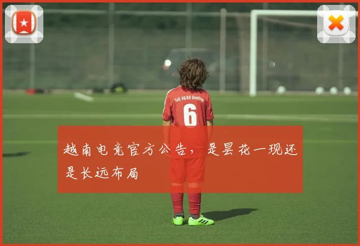 越南电竞官方公告，是昙花一现还是长远布局